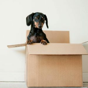 seattle-area-move-out-cleaning
